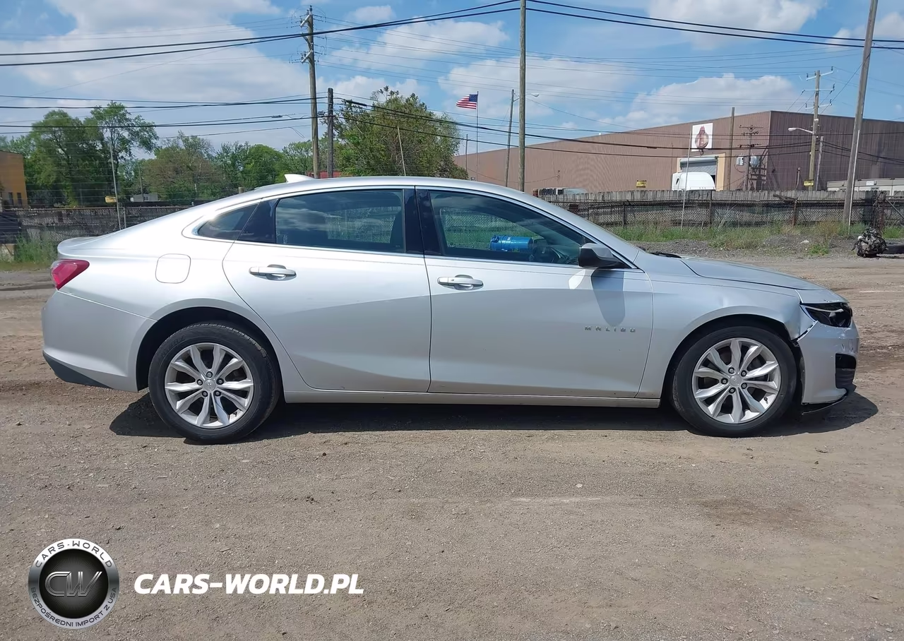 2019 Chevrolet Malibu Lt VIN:1G1ZD5ST3KF117533 - 13