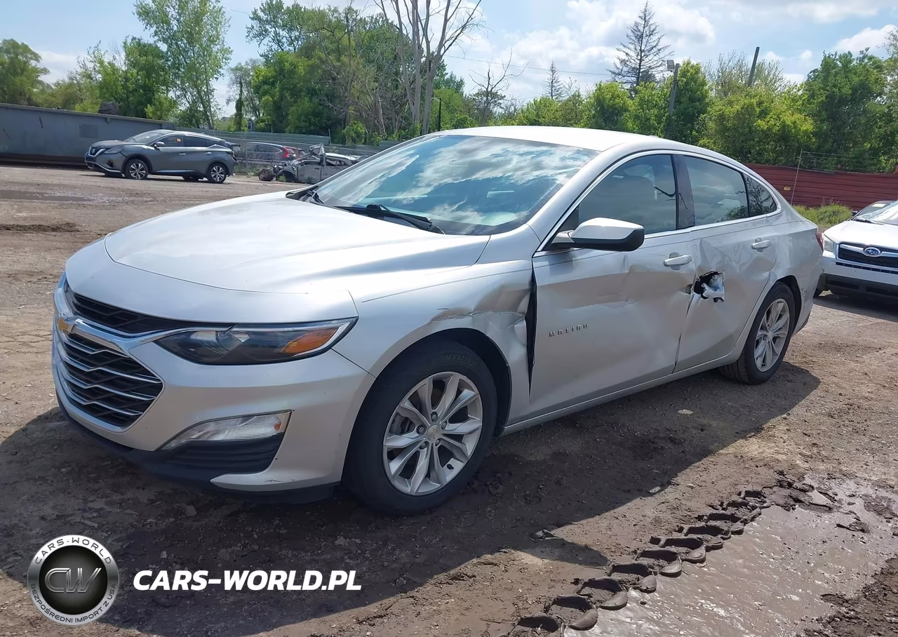 2019 Chevrolet Malibu Lt VIN:1G1ZD5ST3KF117533 - 2