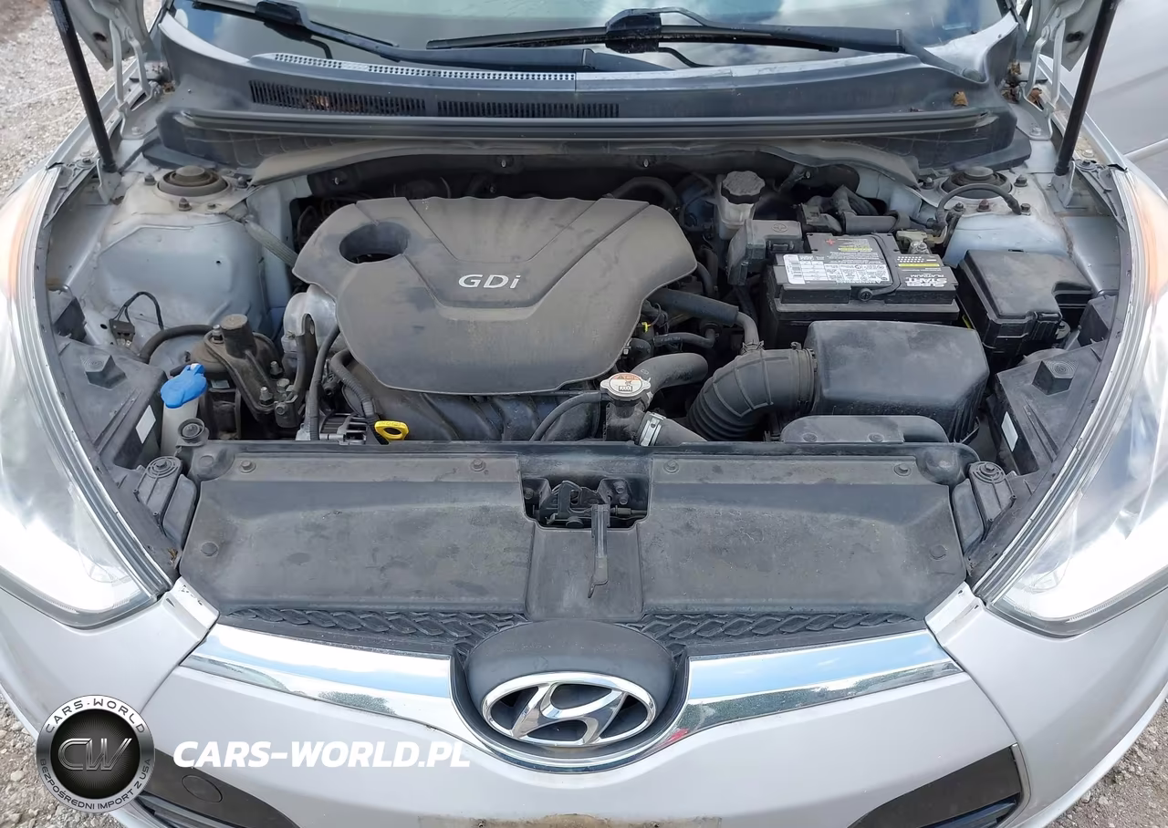 2016 Hyundai Veloster VIN:KMHTC6AD1GU258325 - 10