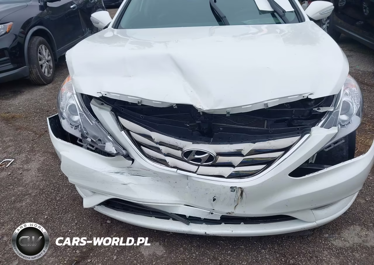 2011 Hyundai Sonata Limited VIN:5NPEC4AC1BH260409 - 6
