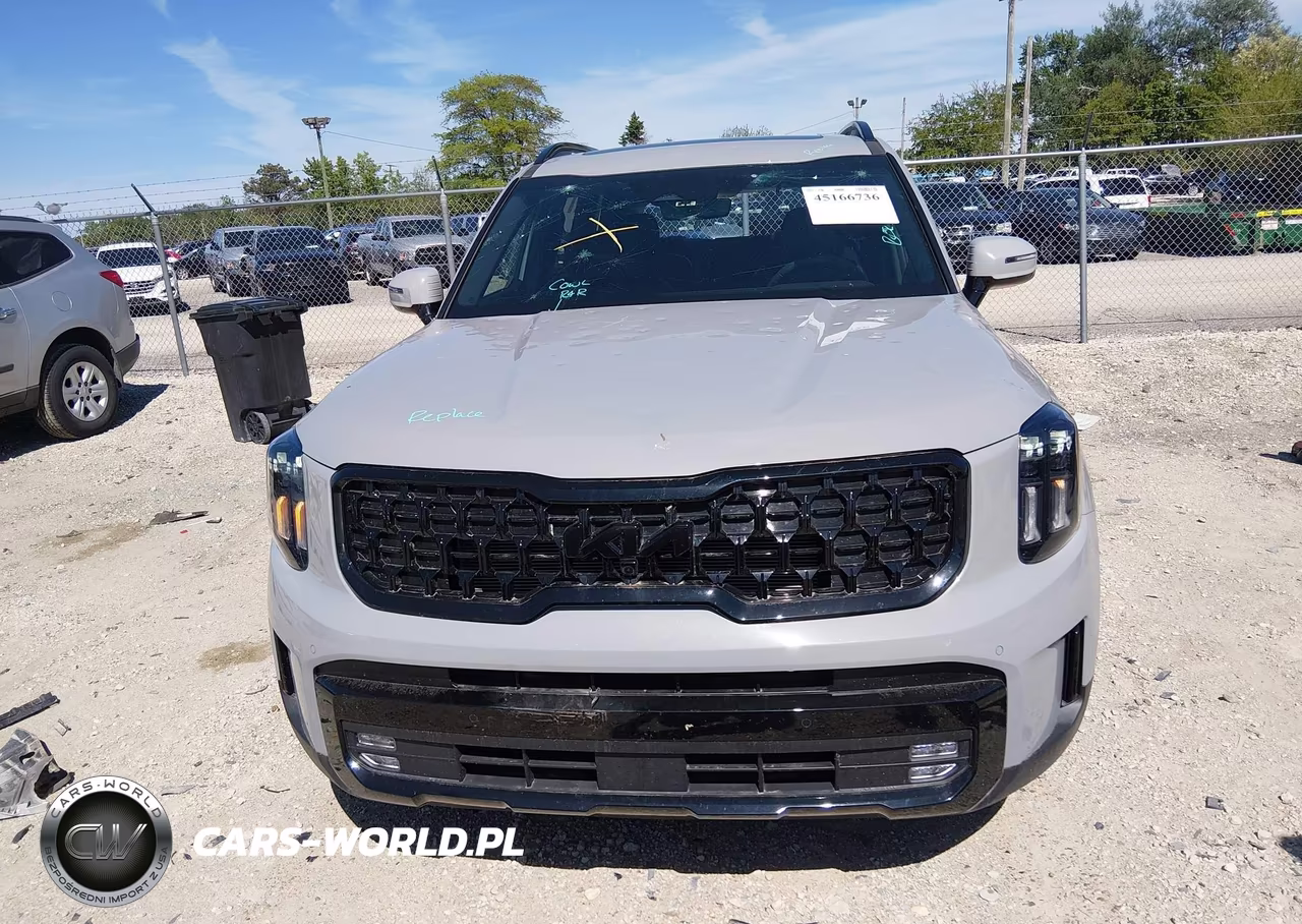 2025 Kia Telluride Sx X-Line VIN:5XYP5DGC7SG610398 - 12