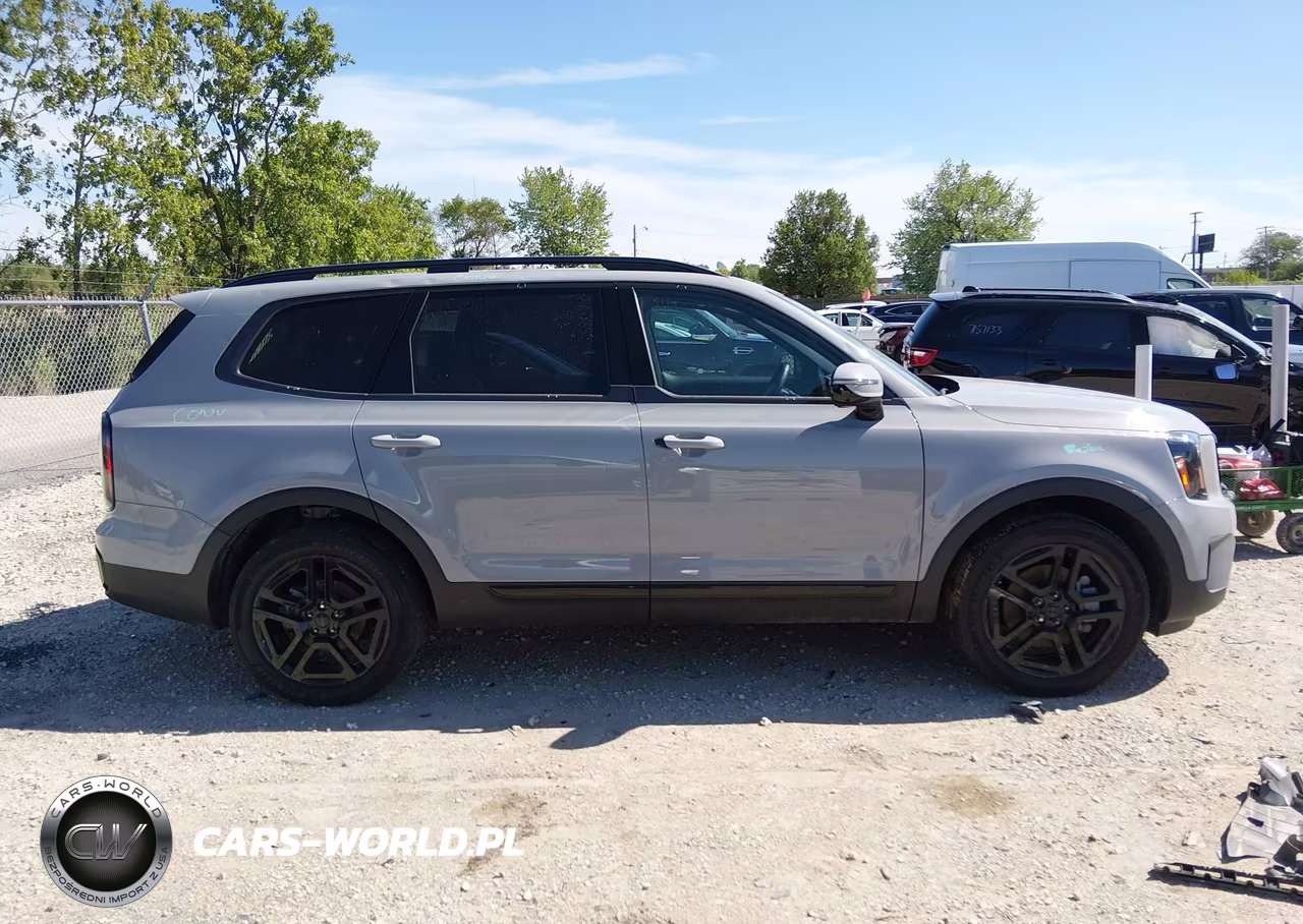 2025 Kia Telluride Sx X-Line VIN:5XYP5DGC7SG610398 - 13