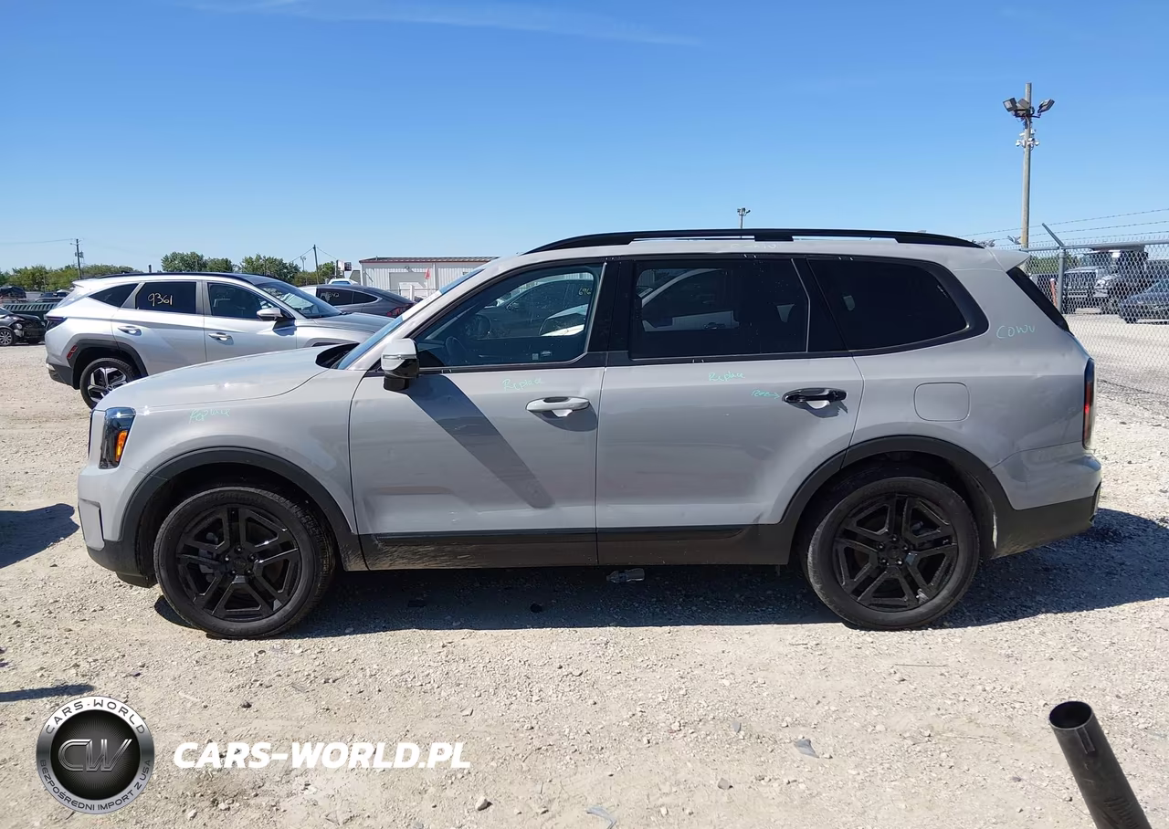 2025 Kia Telluride Sx X-Line VIN:5XYP5DGC7SG610398 - 14