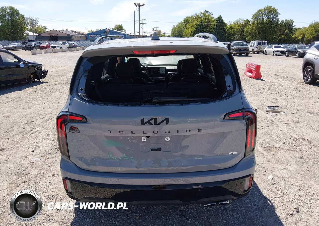 2025 Kia Telluride Sx X-Line VIN:5XYP5DGC7SG610398 - 16