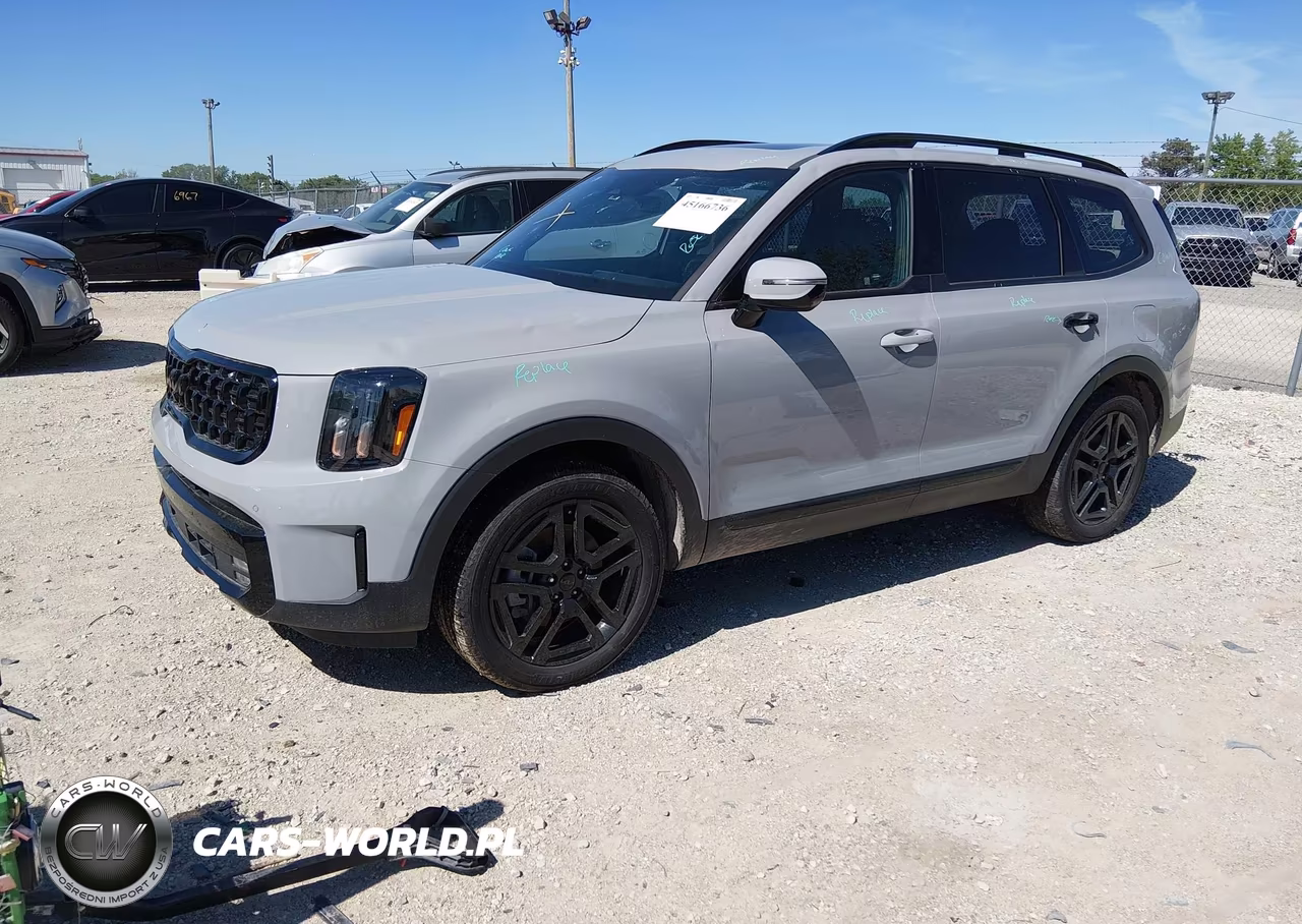 2025 Kia Telluride Sx X-Line VIN:5XYP5DGC7SG610398 - 2