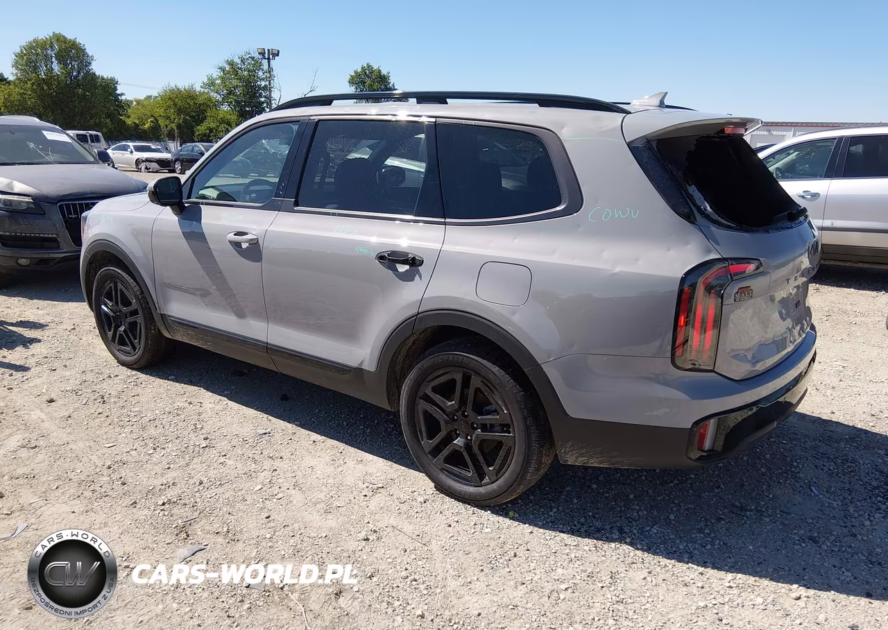 2025 Kia Telluride Sx X-Line VIN:5XYP5DGC7SG610398 - 3