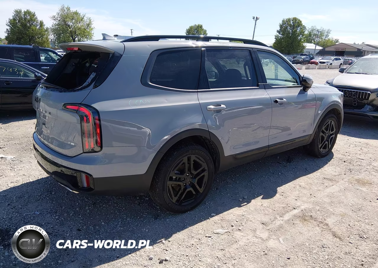 2025 Kia Telluride Sx X-Line VIN:5XYP5DGC7SG610398 - 4