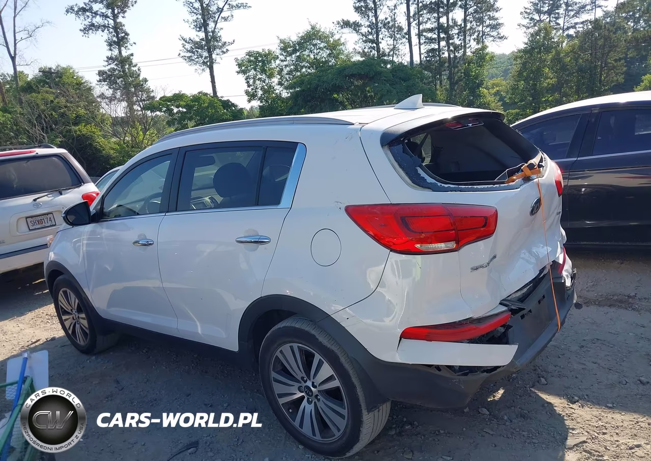 2014 Kia Sportage Ex VIN:KNDPC3AC4E7661576 - 14