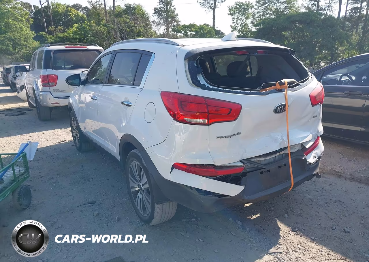 2014 Kia Sportage Ex VIN:KNDPC3AC4E7661576 - 3