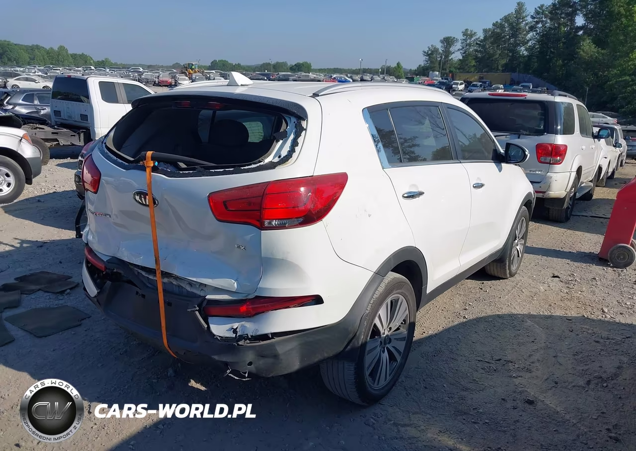 2014 Kia Sportage Ex VIN:KNDPC3AC4E7661576 - 4