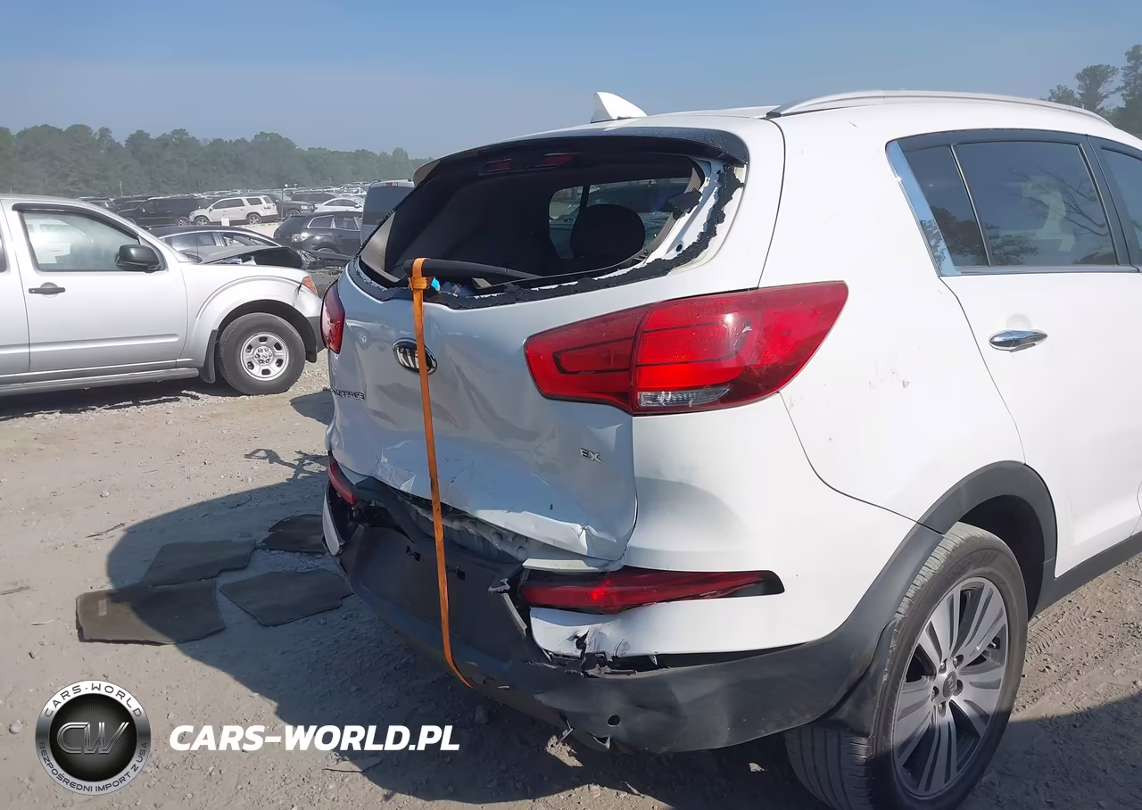 2014 Kia Sportage Ex VIN:KNDPC3AC4E7661576 - 6