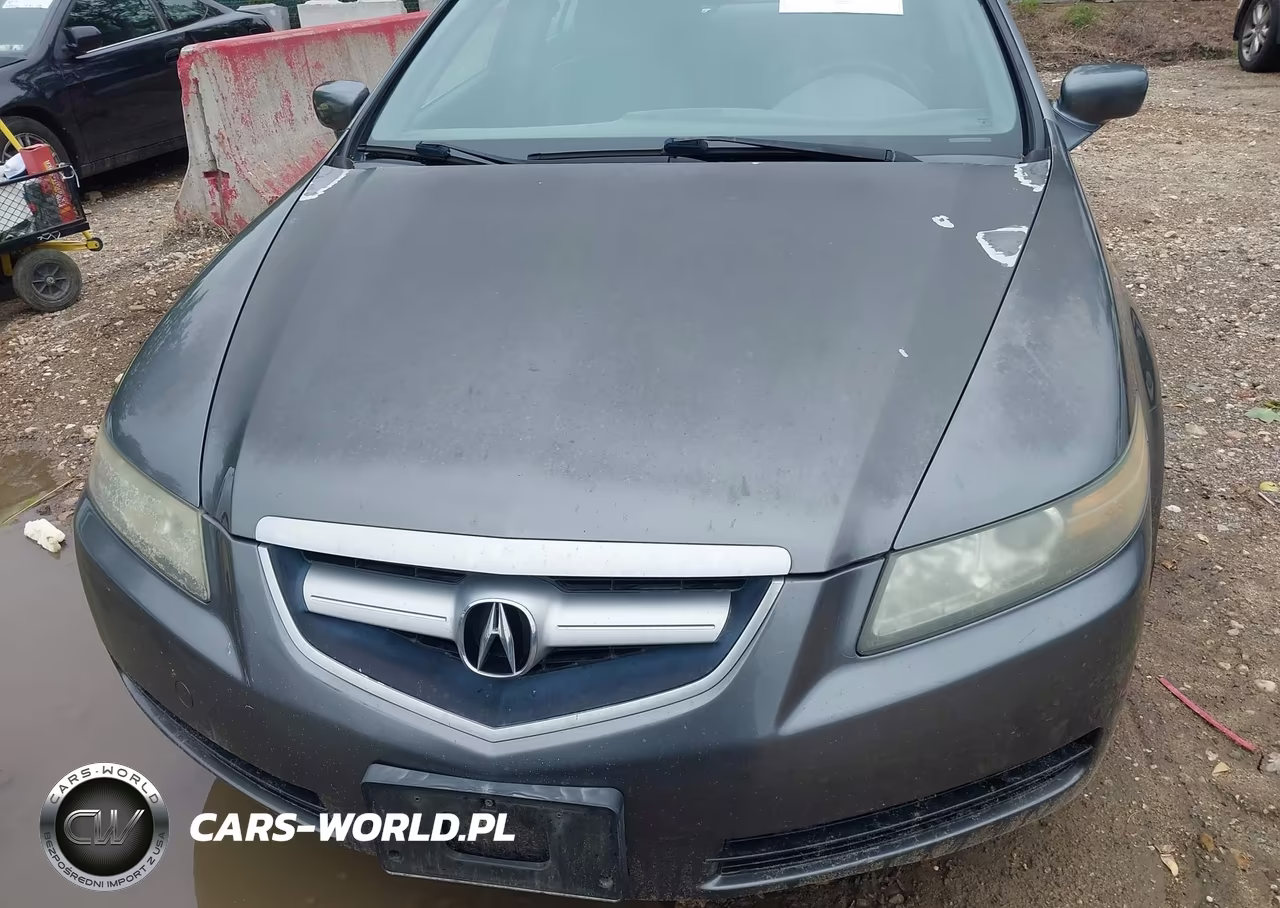 2005 Acura Tl VIN:19UUA66285A002978 - 13