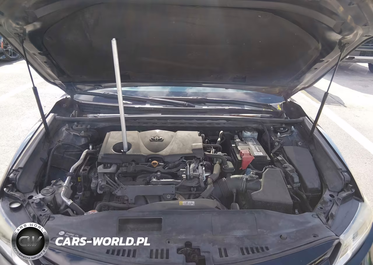 2019 Toyota Camry Le VIN:4T1B11HK8KU785344 - 10