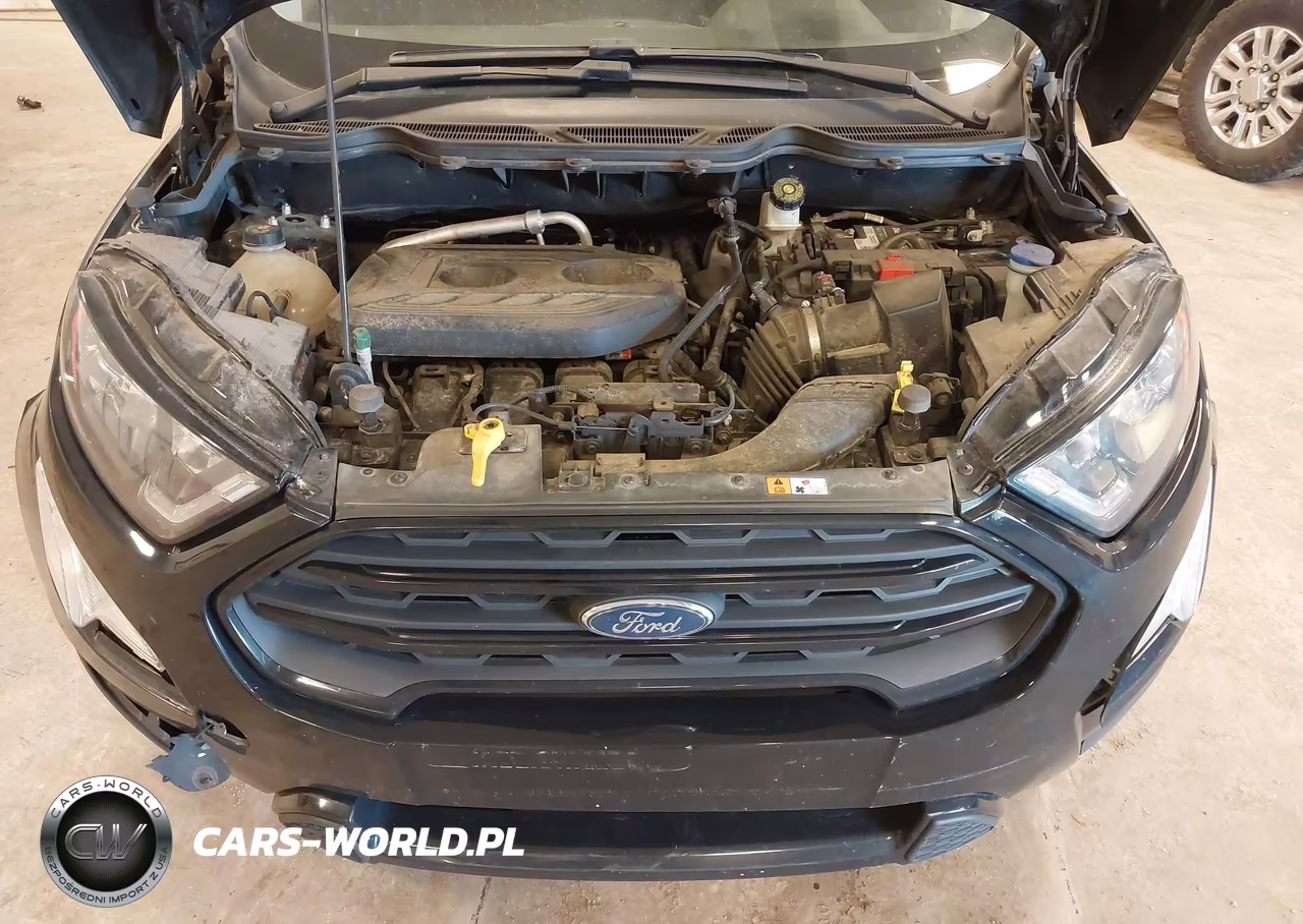 2020 Ford Ecosport Ses VIN:MAJ6S3JL9LC324748 - 10