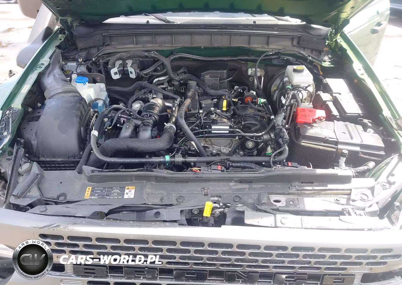 2023 Ford Bronco Everglades VIN:1FMEE5DH9PLB22512 - 10