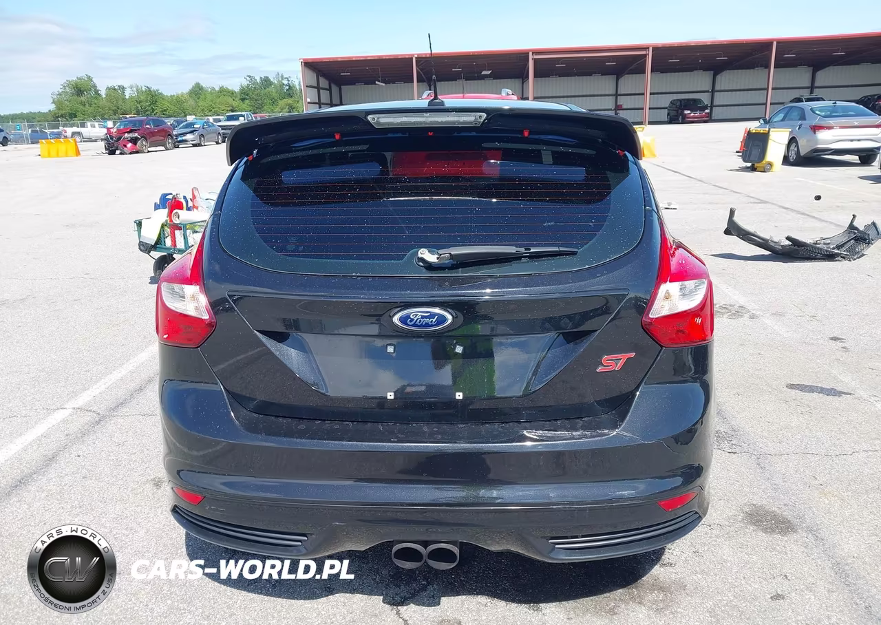 2013 Ford Focus St VIN:1FADP3L97DL185845 - 17