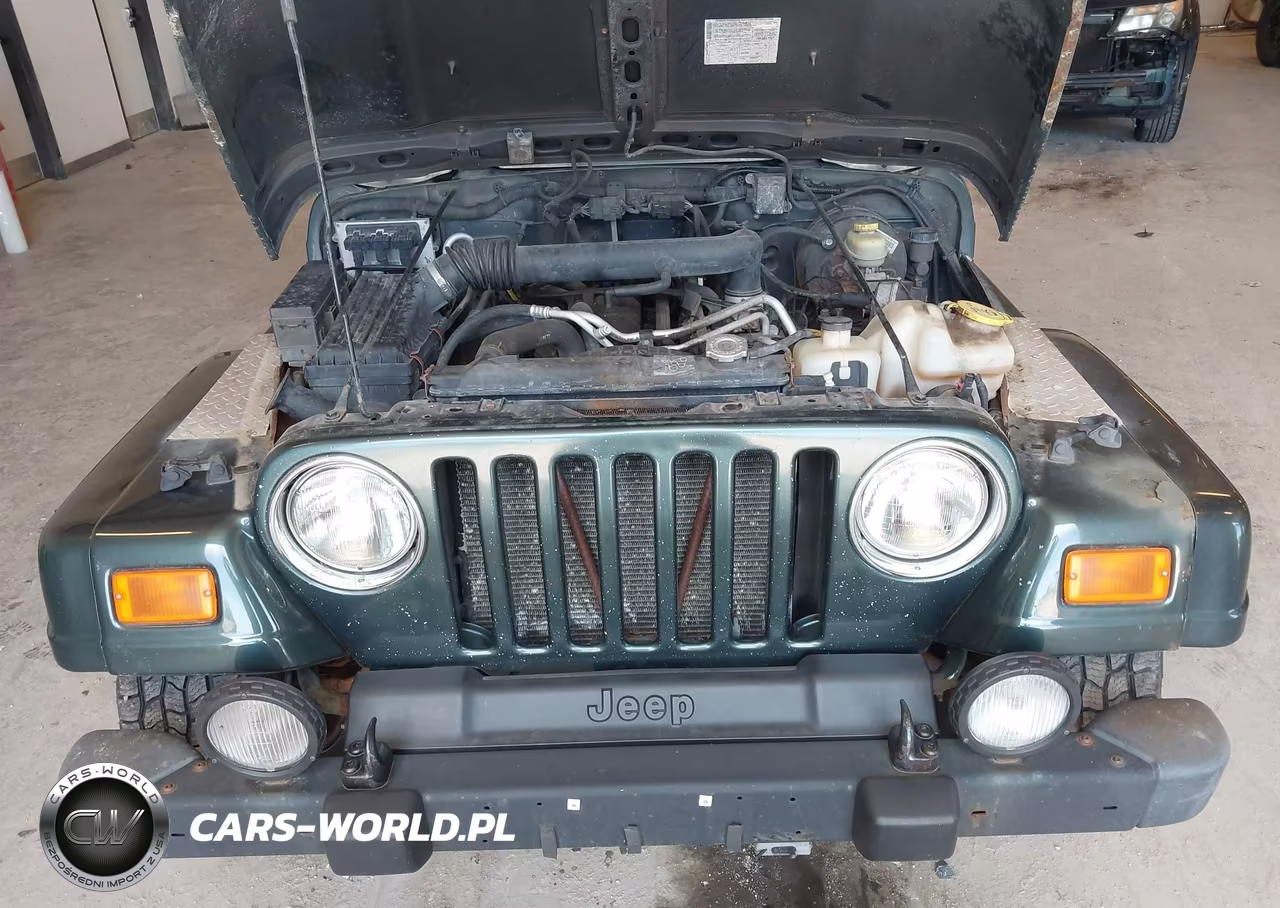 2004 Jeep Tj Sahara VIN:1J4FA59S14P741841 - 10