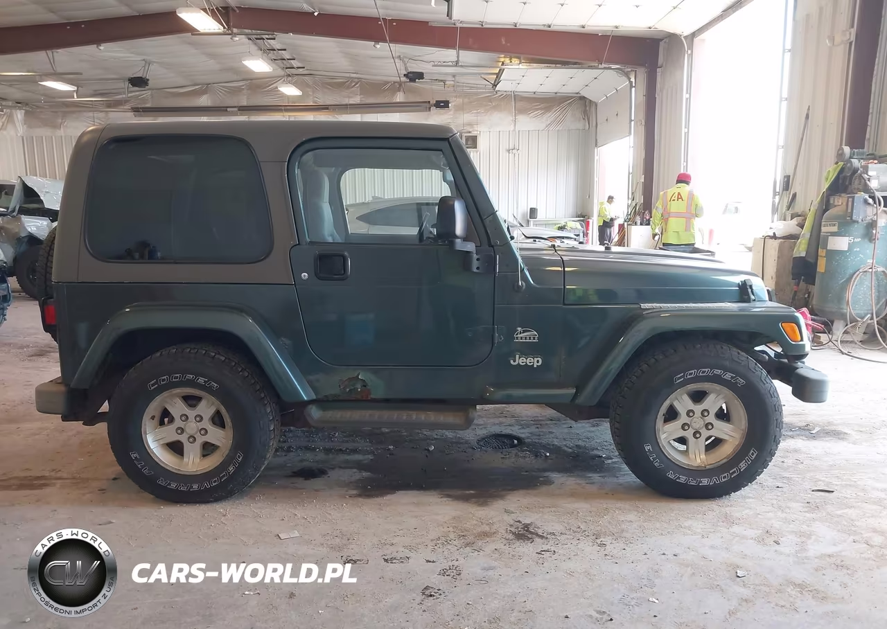 2004 Jeep Tj Sahara VIN:1J4FA59S14P741841 - 13