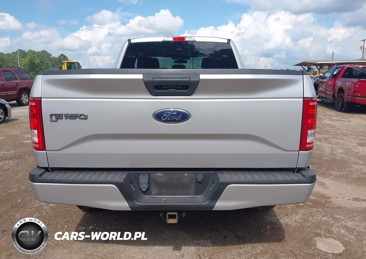 2017 Ford F-150 Xl VIN:1FTEX1CP4HKC89819 - 16