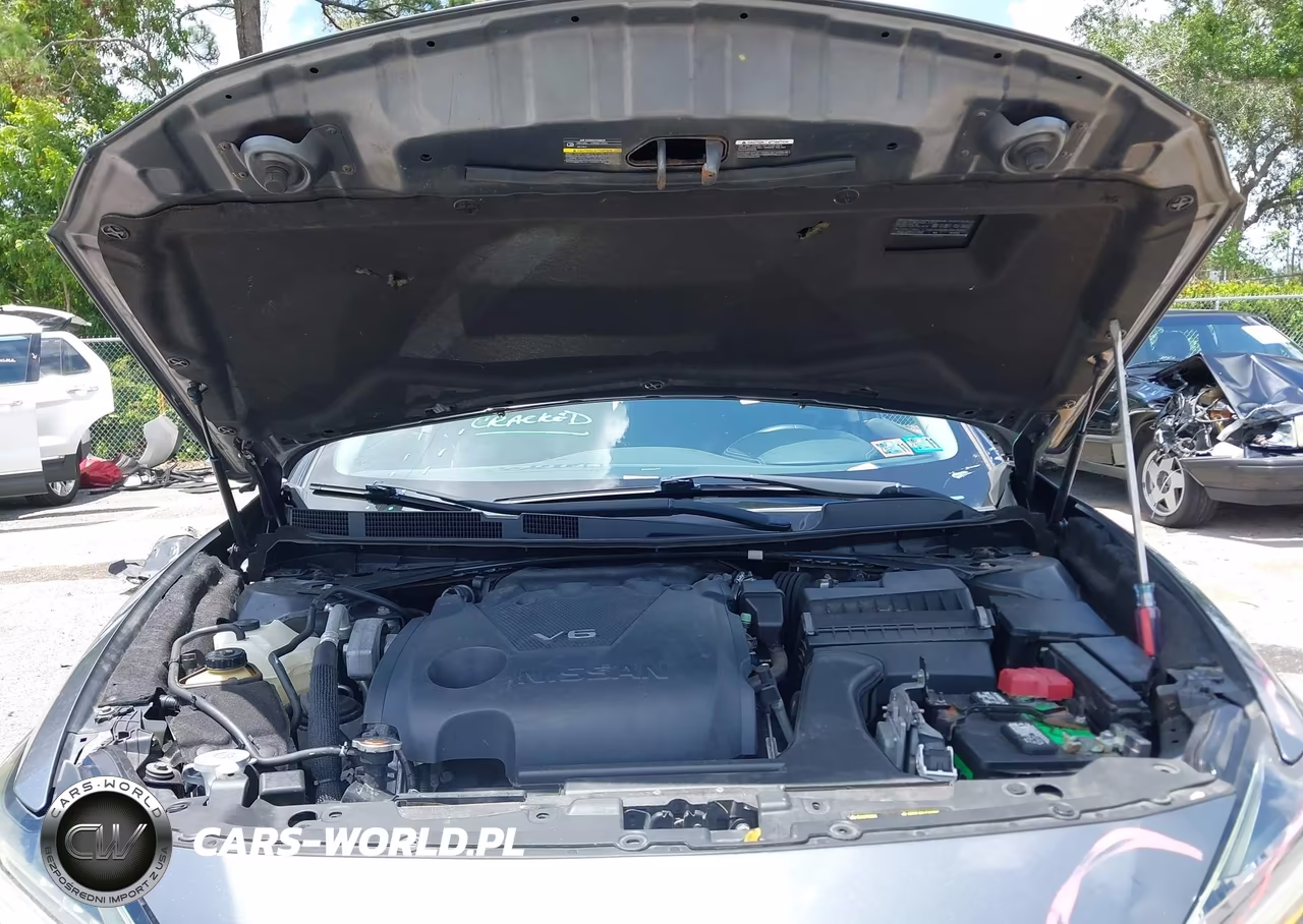 2016 Nissan Maxima 3.5 Sl VIN:1N4AA6AP0GC904980 - 10