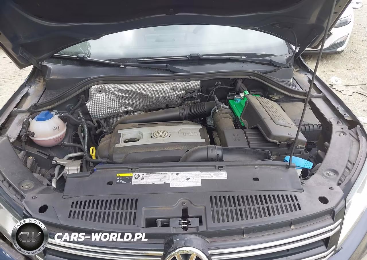 2014 Volkswagen Tiguan Se VIN:WVGAV3AX8EW624325 - 10