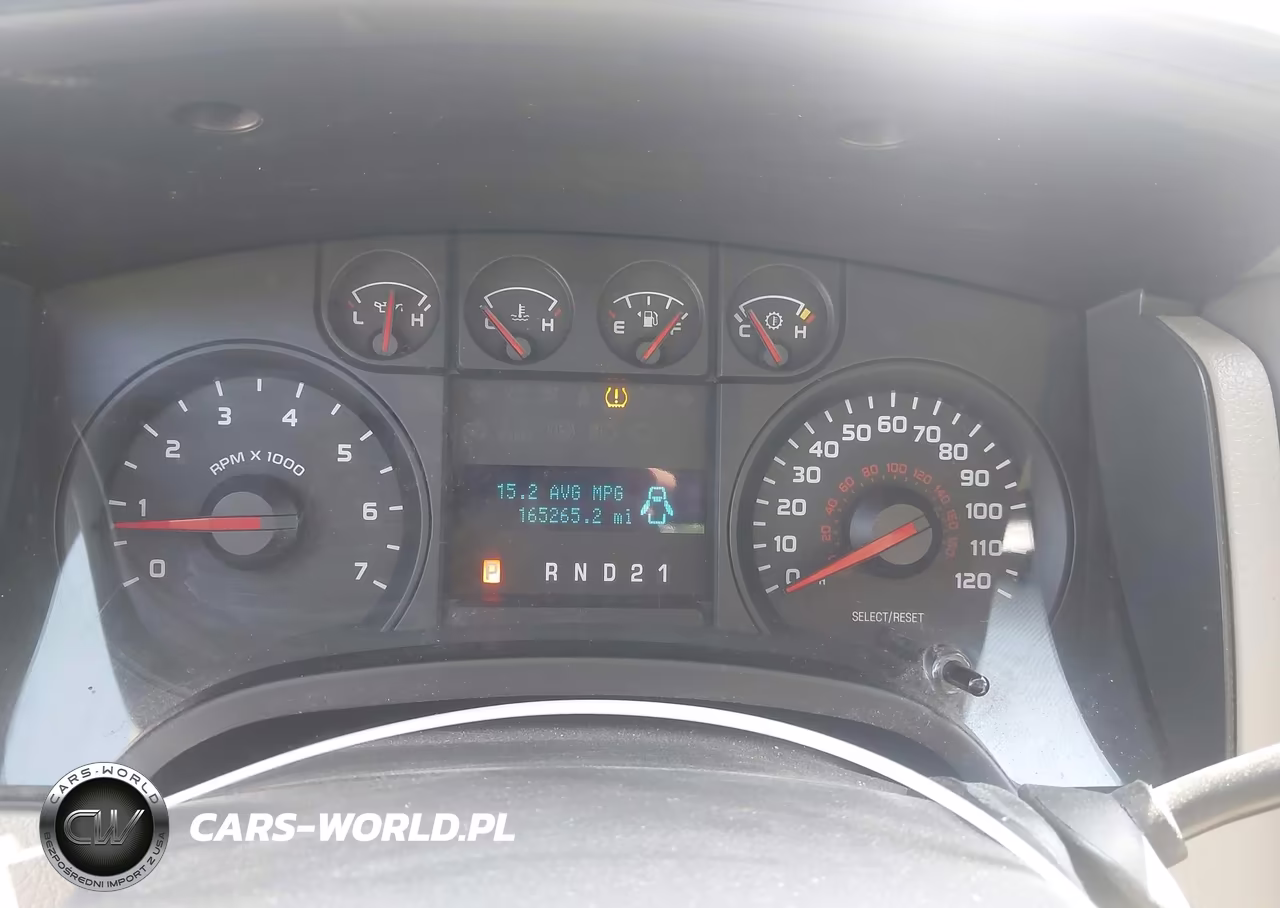 2009 Ford F-150 Stx-Xl-Xlt VIN:1FTRF12W89KB45267 - 7