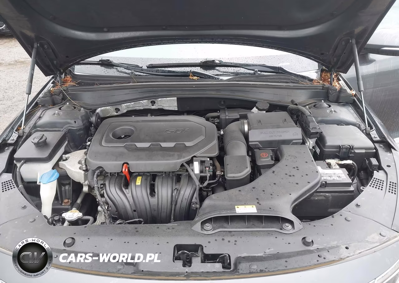 2017 Kia Optima Lx VIN:KNAGT4L30H5170857 - 10