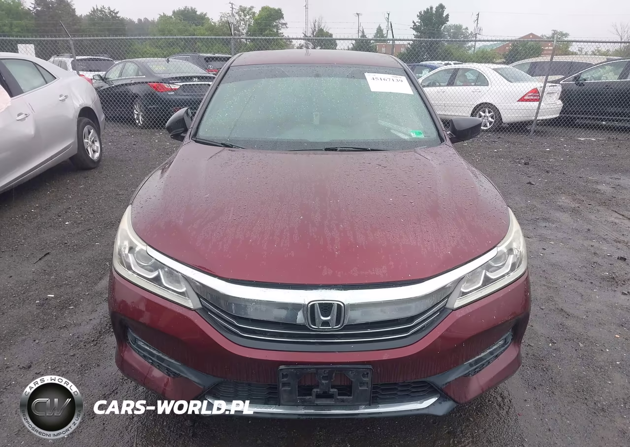 2016 Honda Accord Sport VIN:1HGCR2F57GA042804 - 12