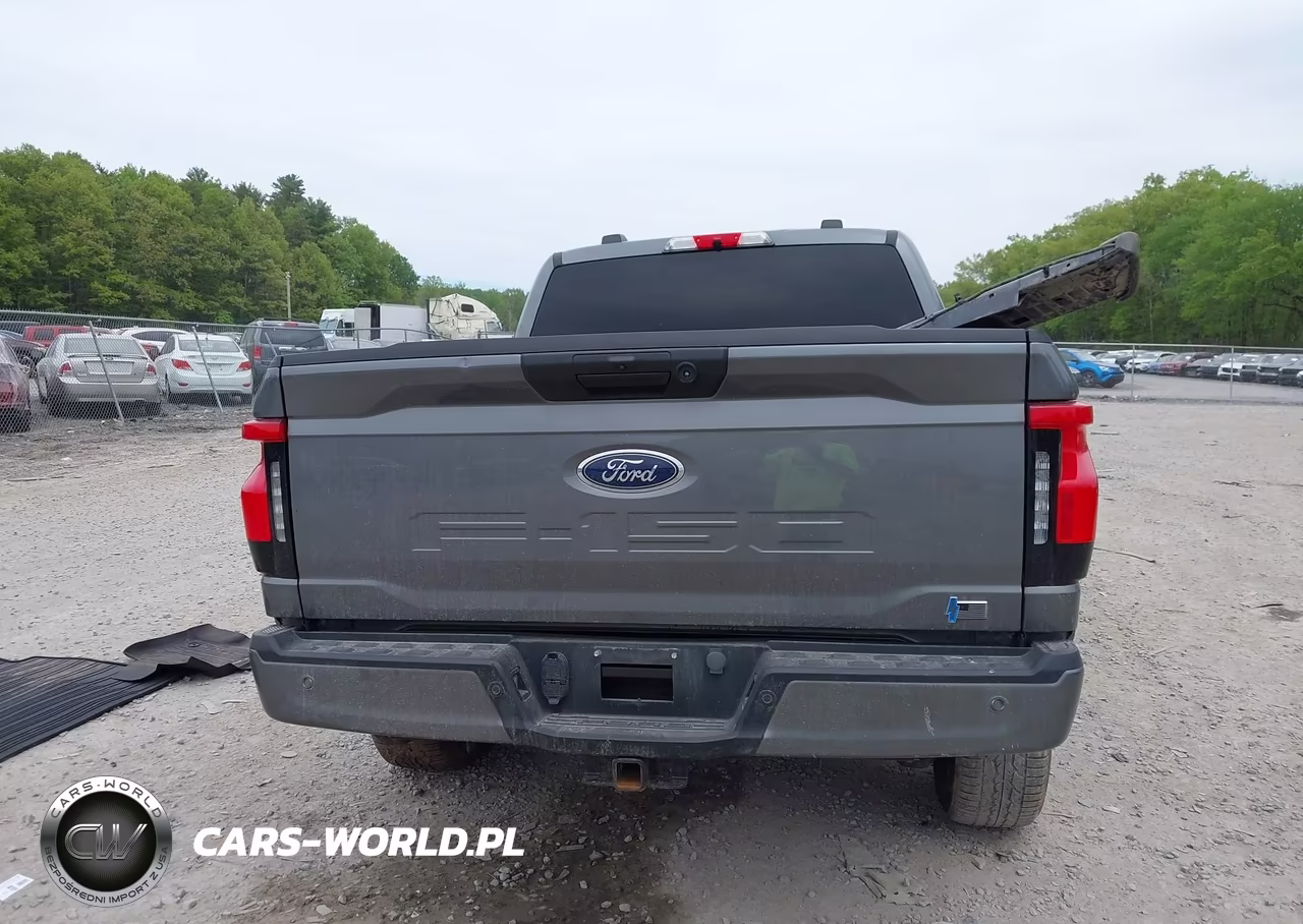 2023 Ford F-150 Lightning Xlt VIN:1FTVW1EL8PWG62719 - 17