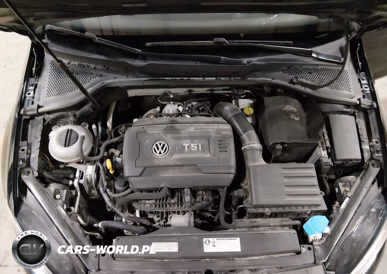 2015 Volkswagen Golf Tsi S 2-Door VIN:3VW817AU9FM098717 - 10