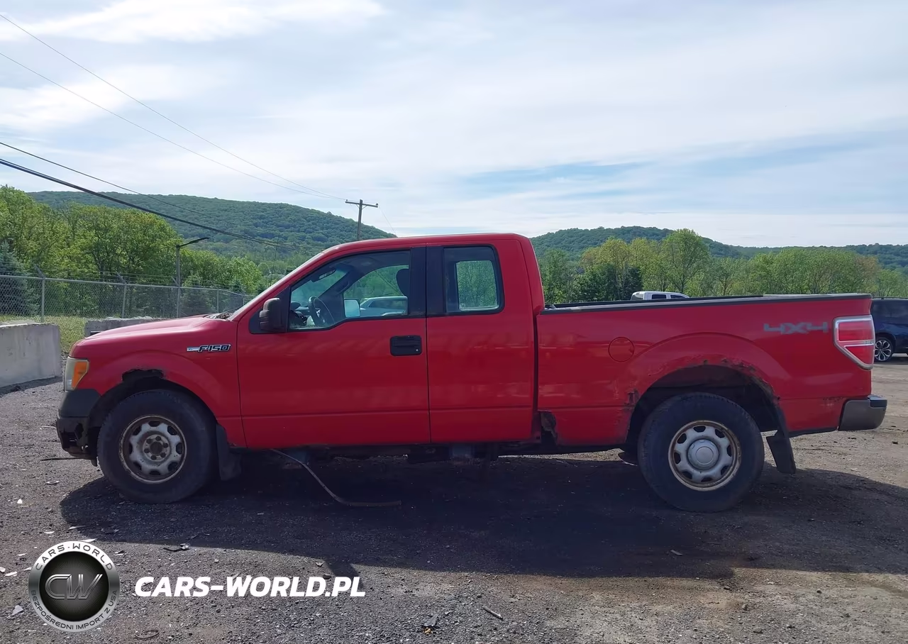 2010 Ford F-150 Stx-Xl VIN:1FTEX1EW7AKE08862 - 14