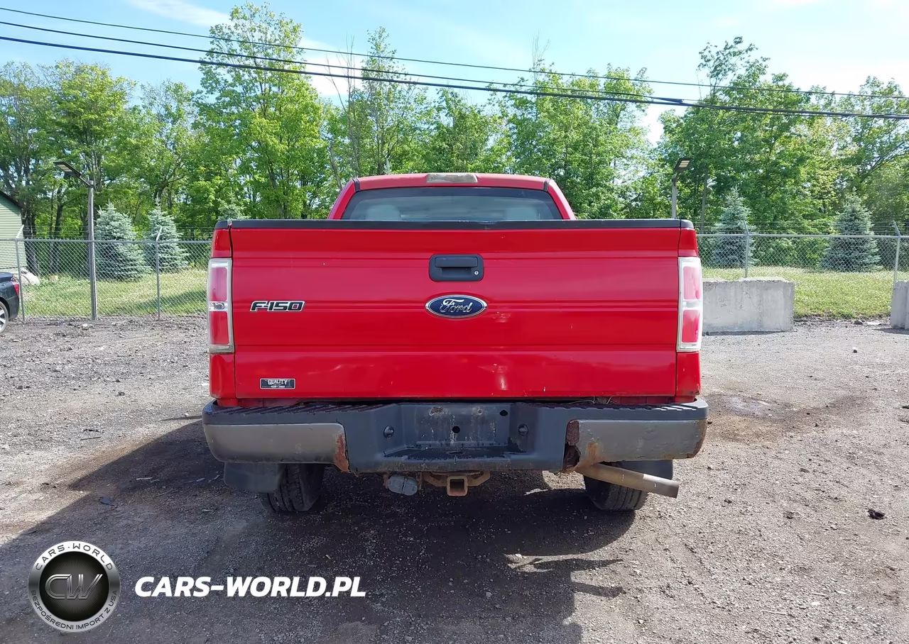 2010 Ford F-150 Stx-Xl VIN:1FTEX1EW7AKE08862 - 16