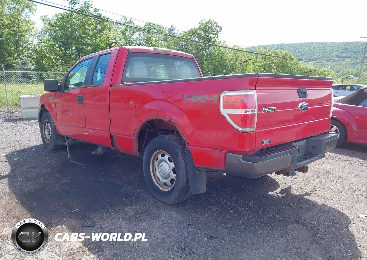 2010 Ford F-150 Stx-Xl VIN:1FTEX1EW7AKE08862 - 3