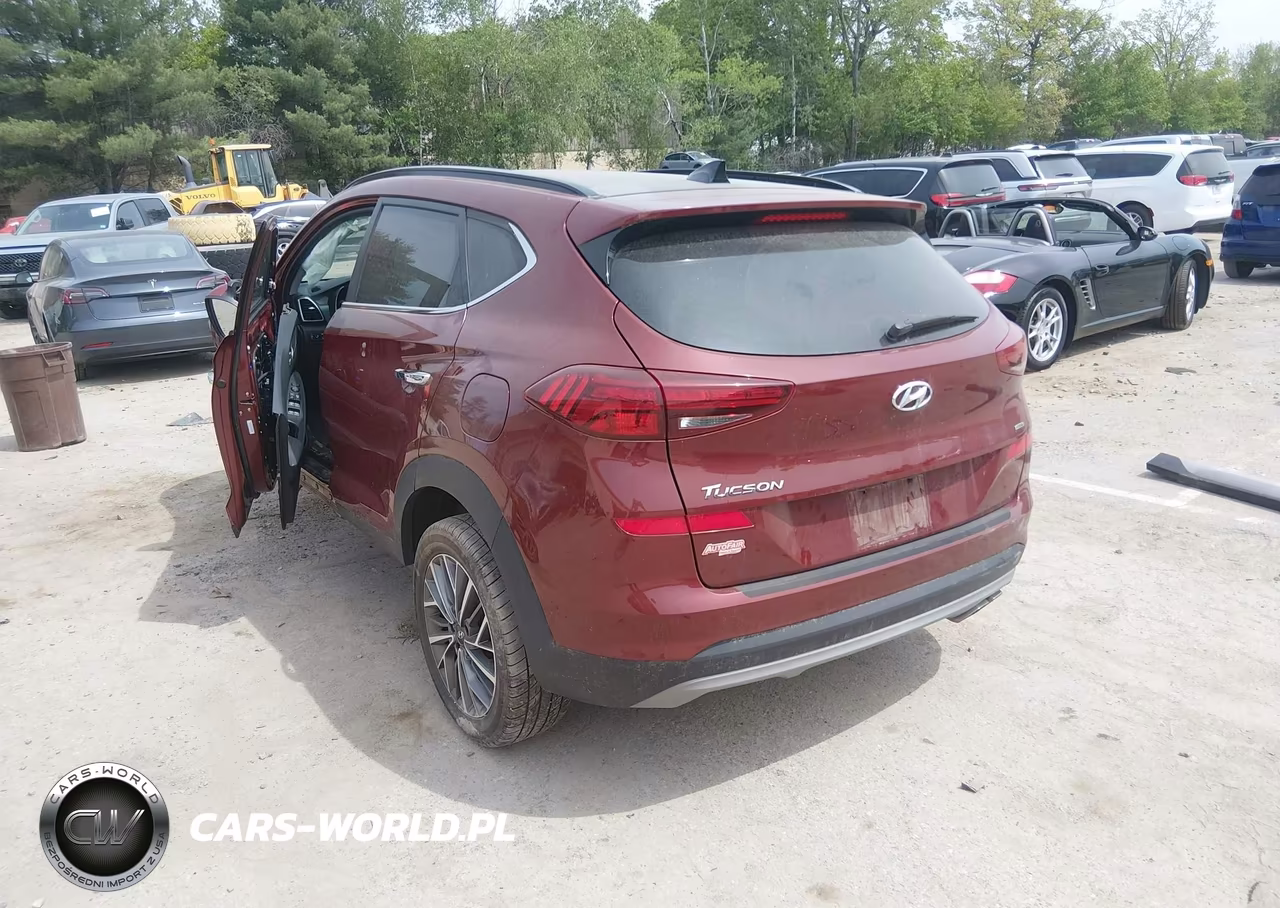2019 Hyundai Tucson Ultimate VIN:KM8J3CALXKU034458 - 3