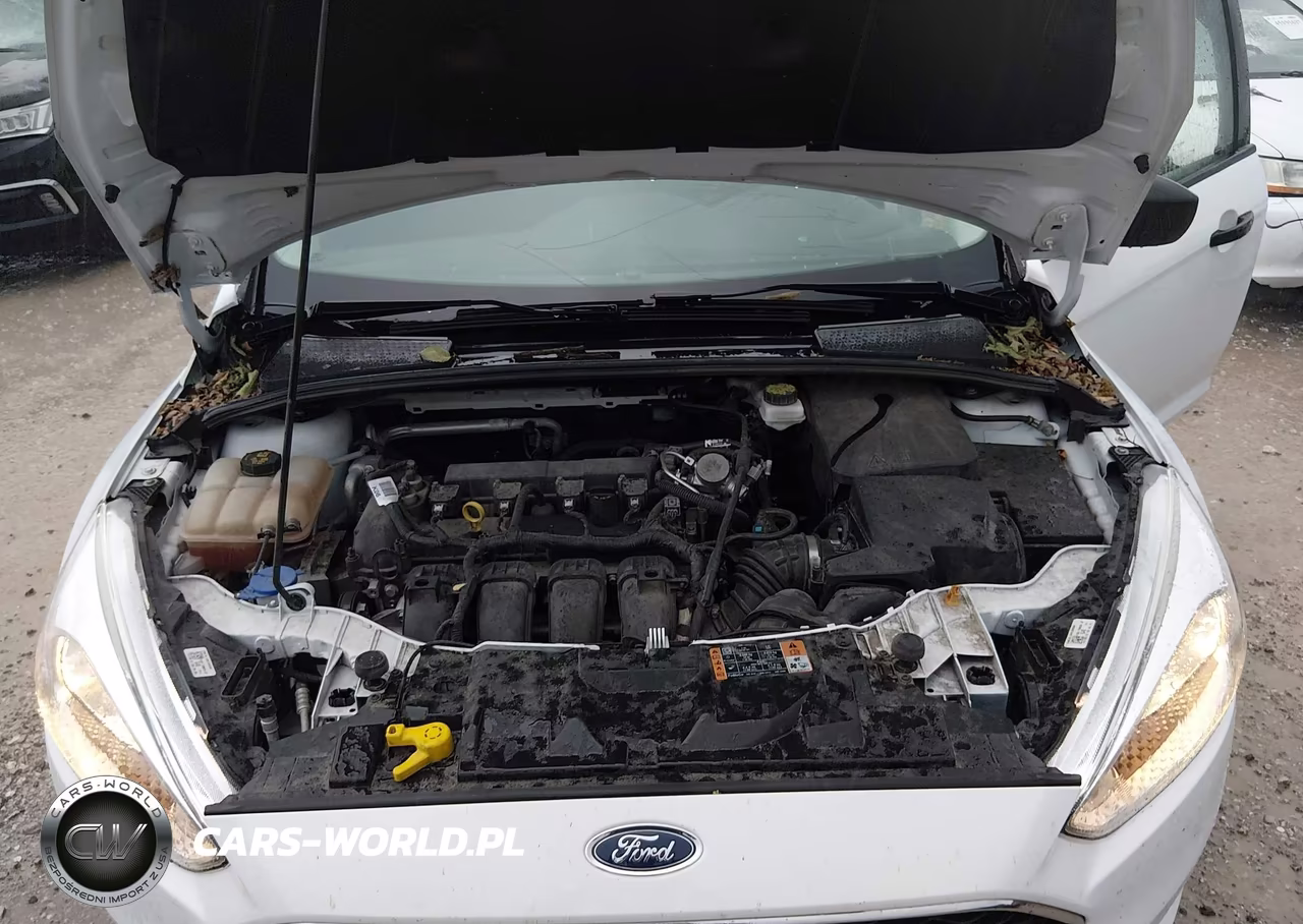 2018 Ford Focus S VIN:1FADP3E27JL230083 - 10