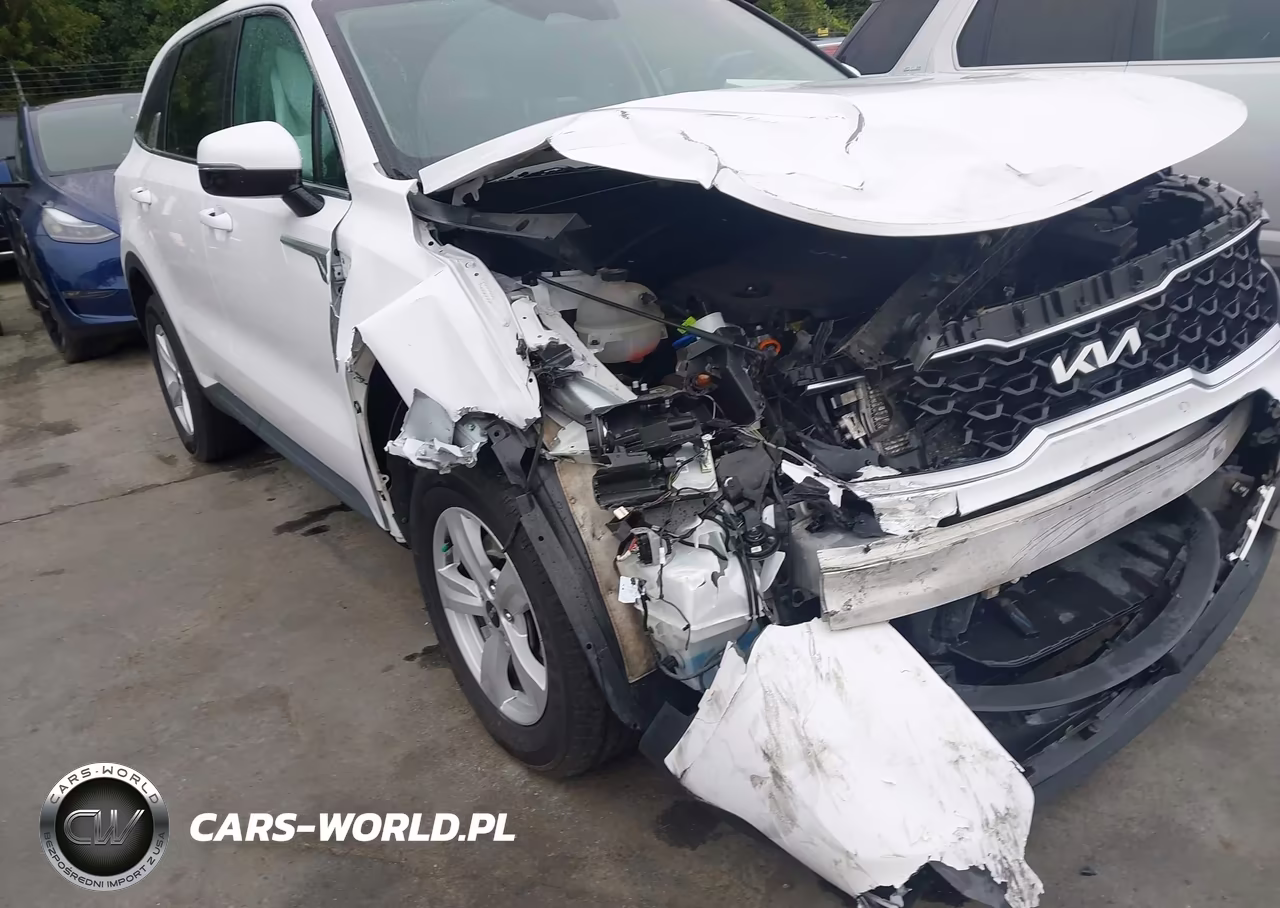 2023 Kia Sorento Lx VIN:5XYRGDLC5PG184419 - 17