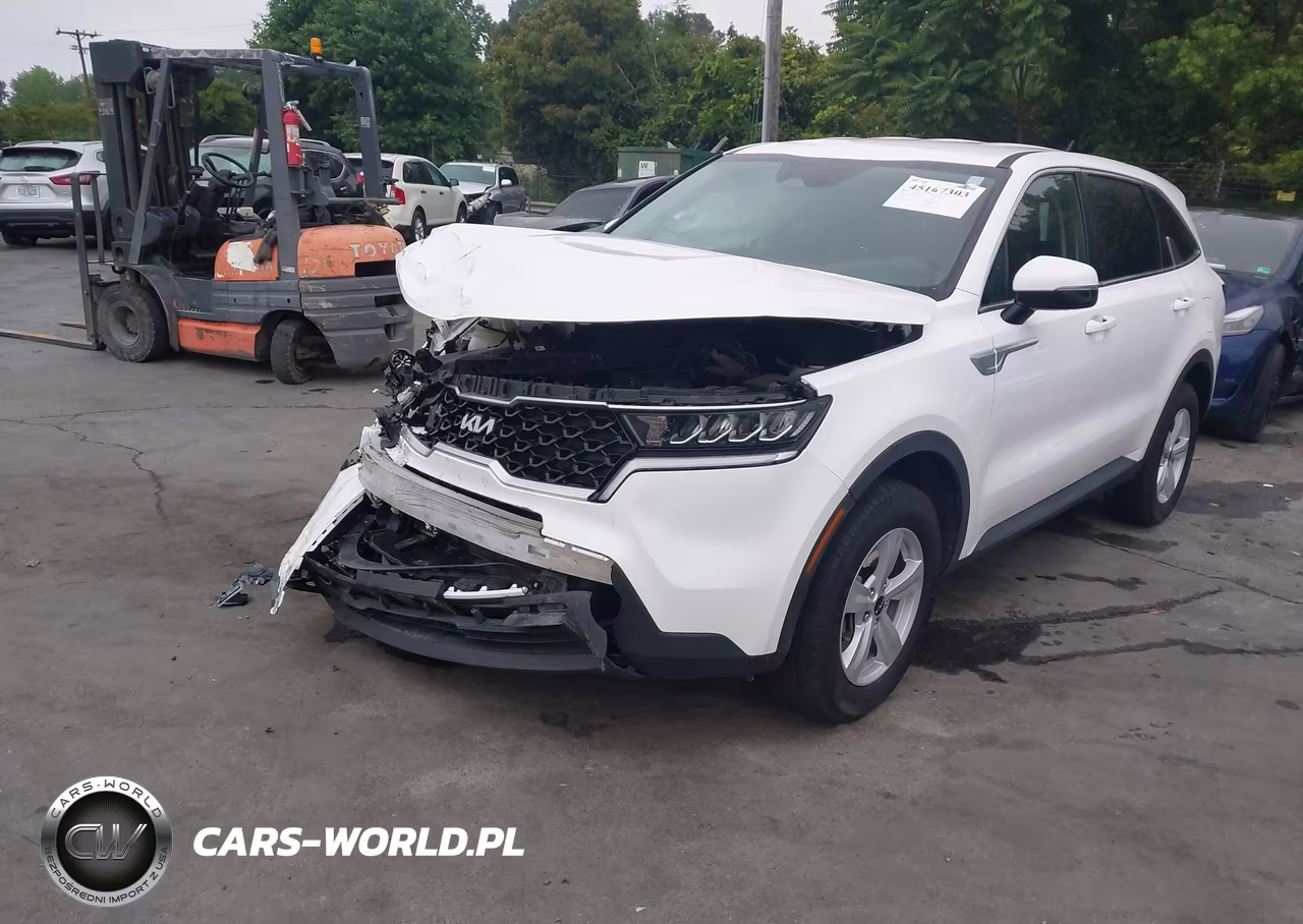 2023 Kia Sorento Lx VIN:5XYRGDLC5PG184419 - 2