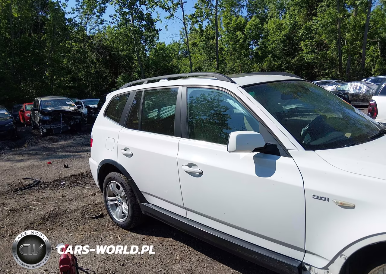 2006 BMW X3 3.0I VIN:WBXPA93496WG90857 - 13