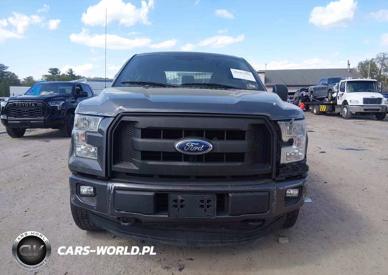 2015 Ford F-150 Xl VIN:1FTEX1EPXFKE45162 - 12