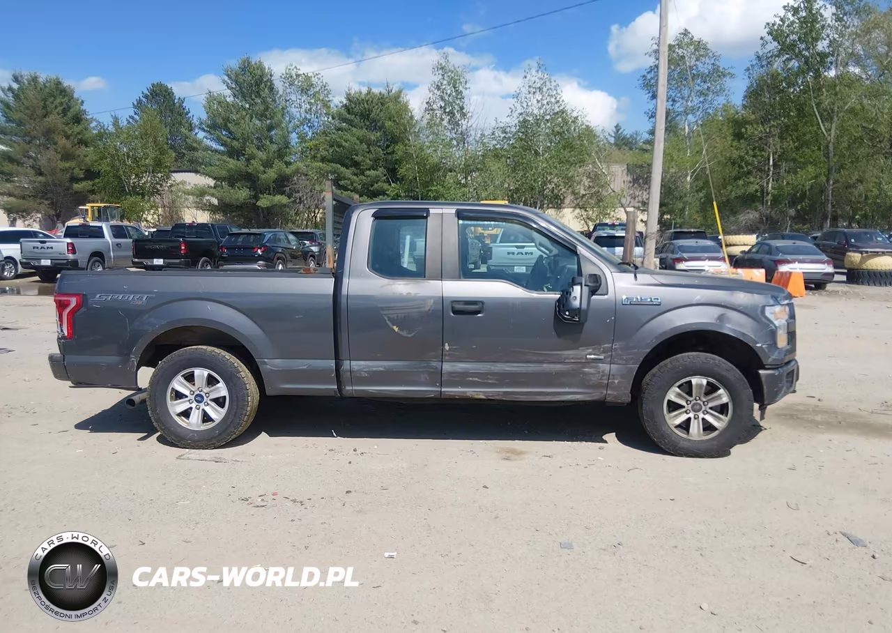 2015 Ford F-150 Xl VIN:1FTEX1EPXFKE45162 - 13