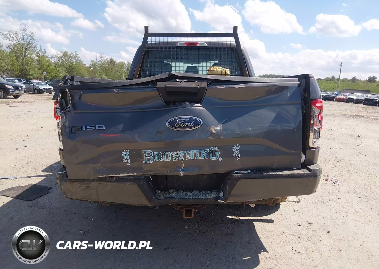 2015 Ford F-150 Xl VIN:1FTEX1EPXFKE45162 - 16