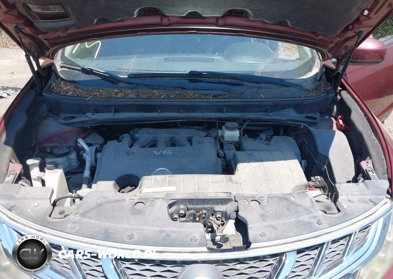 2011 Nissan Murano Crosscabriolet VIN:JN8AZ1FY1BW000851 - 10