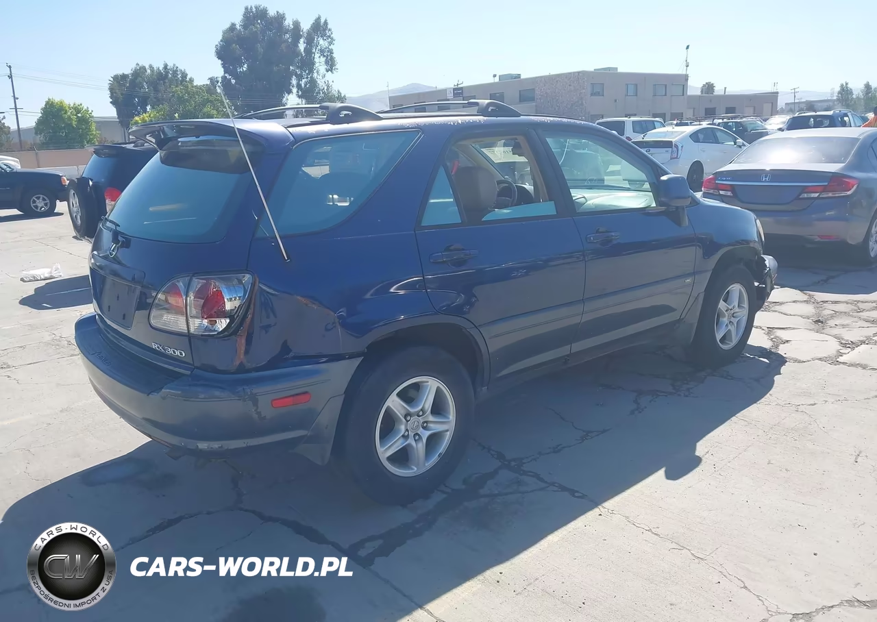 2001 Lexus Rx 300 VIN:JTJHF10U710231096 - 4