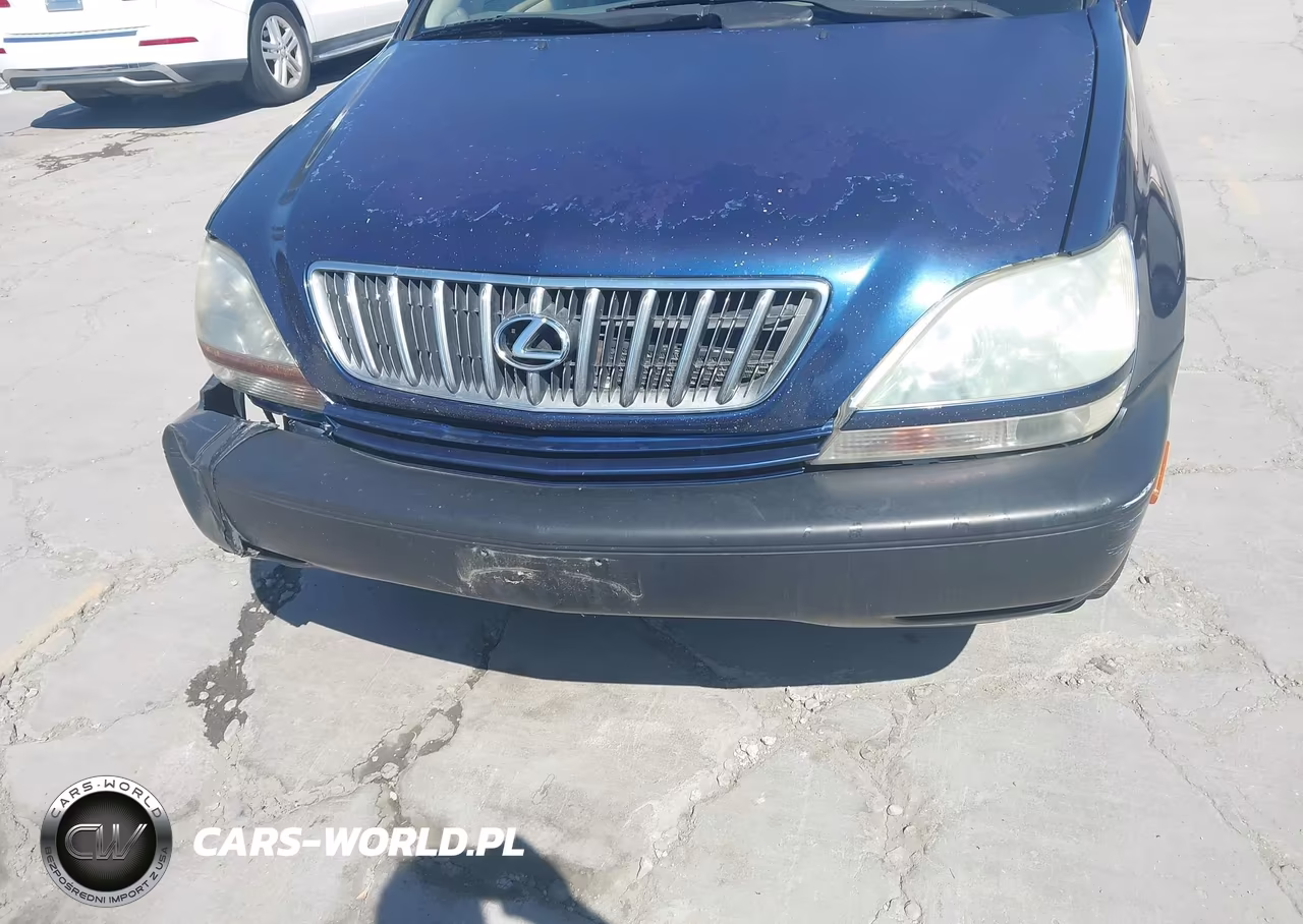 2001 Lexus Rx 300 VIN:JTJHF10U710231096 - 6