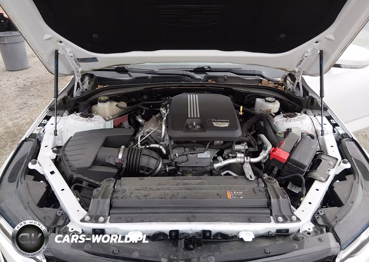 2021 Cadillac Ct4 Sport VIN:1G6DG5RK8M0118398 - 10