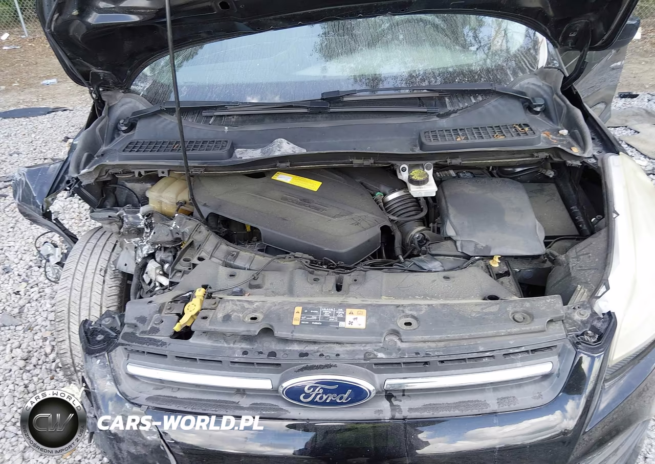 2016 Ford Escape Se VIN:1FMCU0GX7GUA08065 - 10