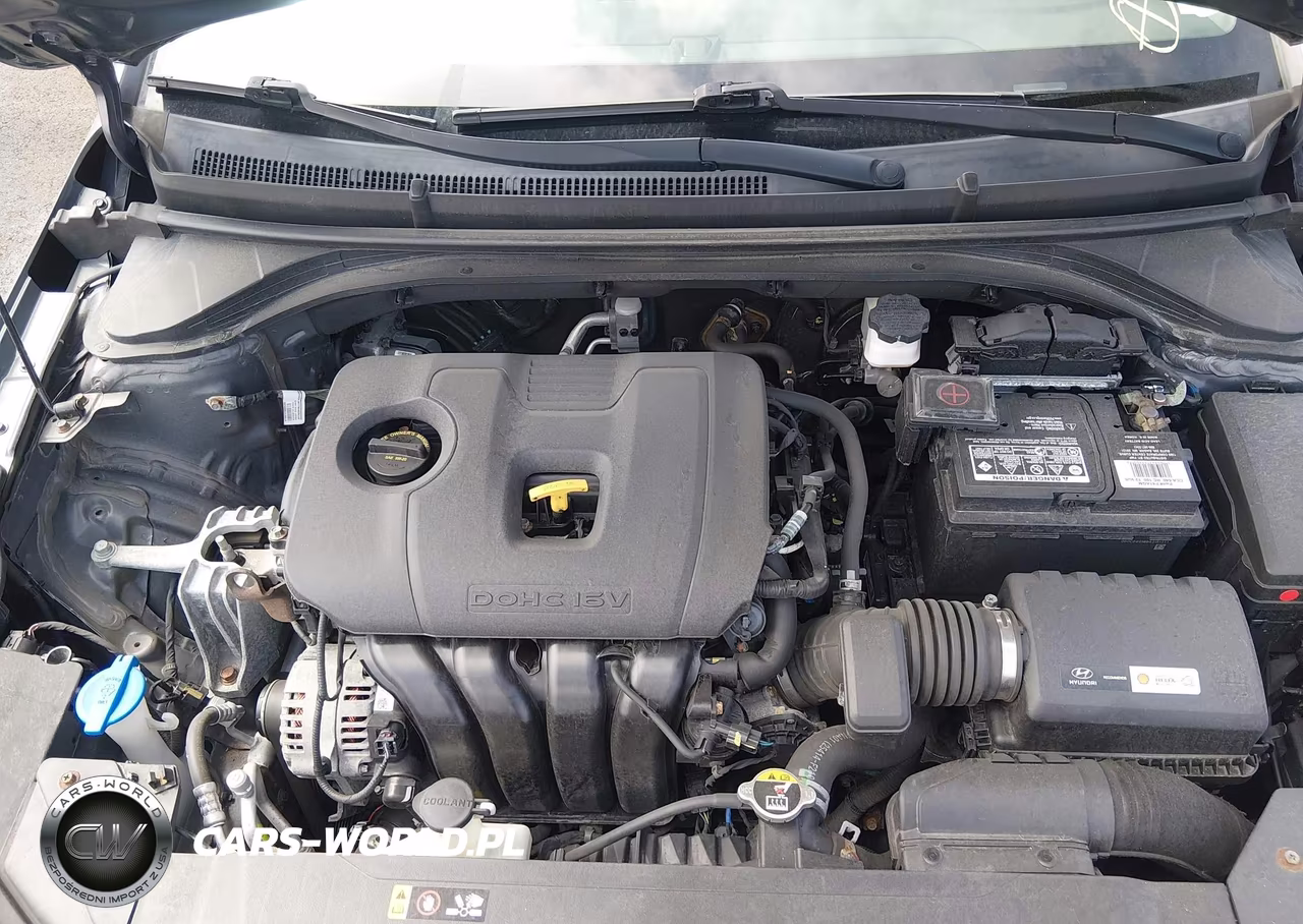 2019 Hyundai Elantra Se VIN:5NPD74LF5KH497069 - 10