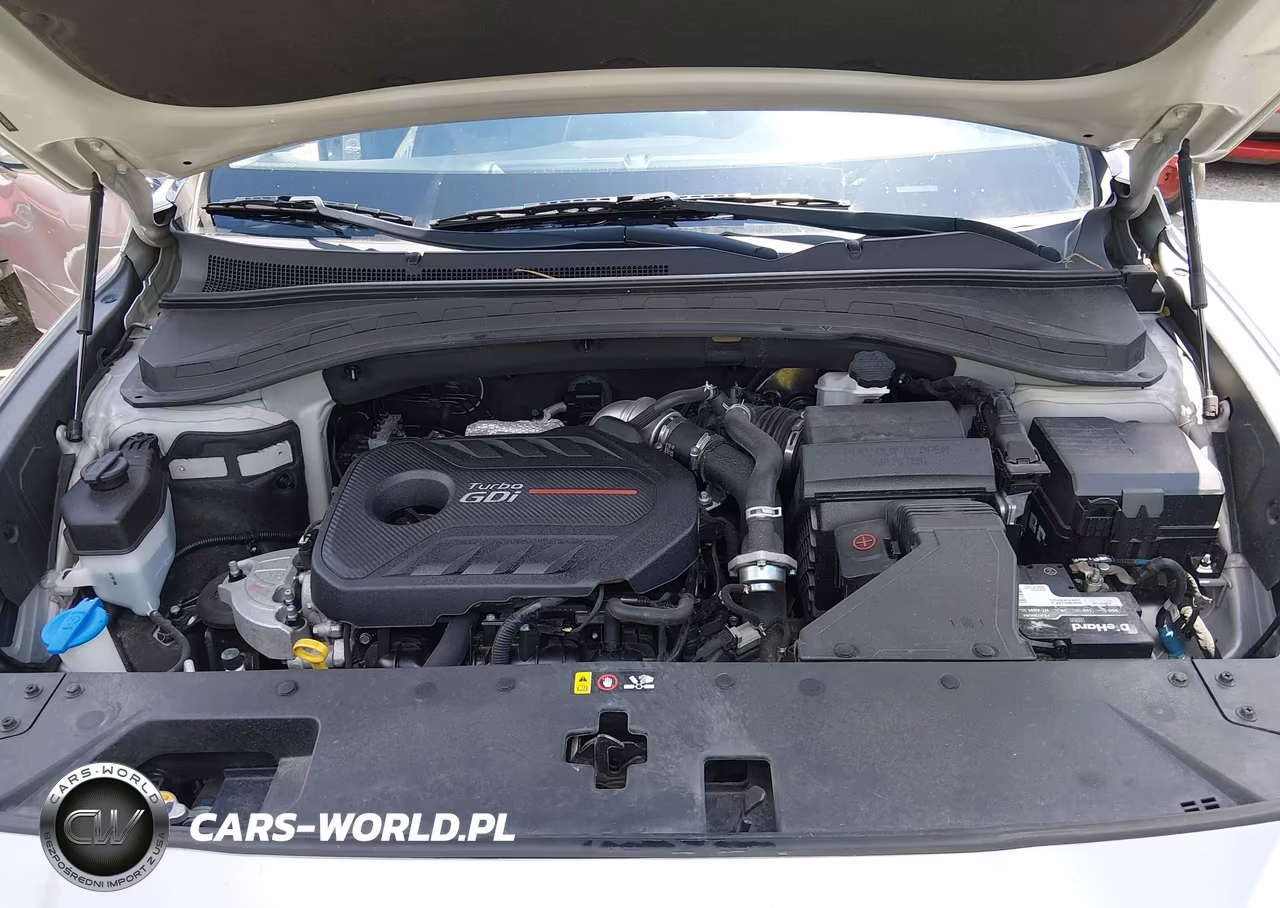 2020 Hyundai Santa Fe Sel 2.0T VIN:5NMS33AA6LH265101 - 10
