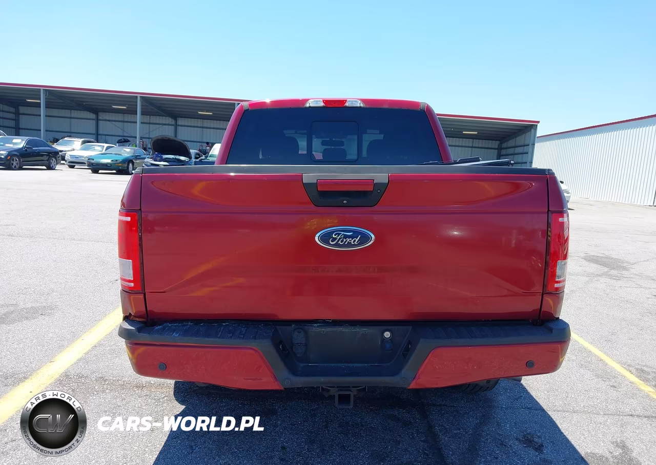 2017 Ford F-150 Xlt VIN:1FTEW1CPXHFC49336 - 17