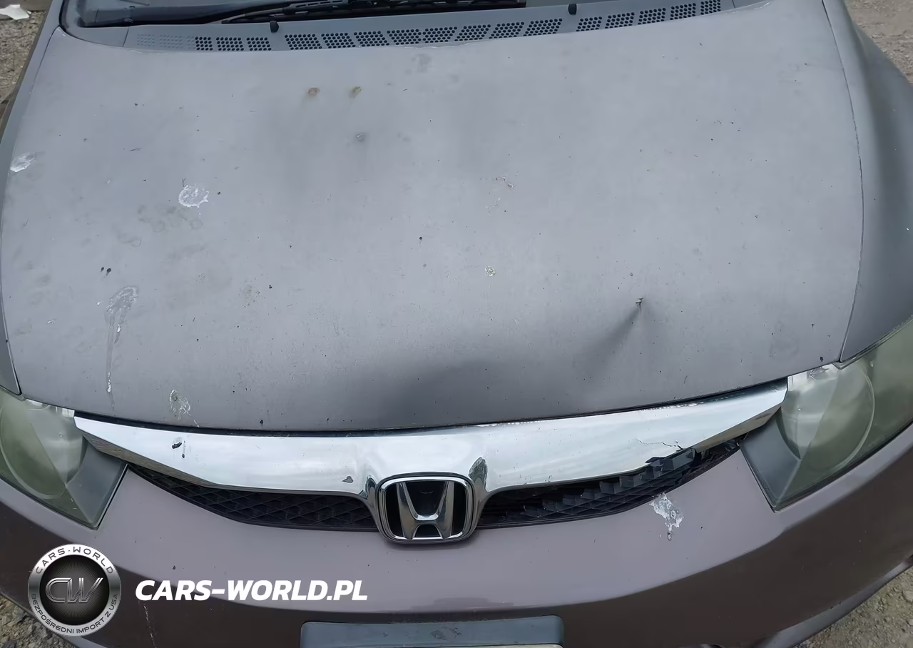 2009 Honda Civic Lx VIN:2HGFA16519H543593 - 6